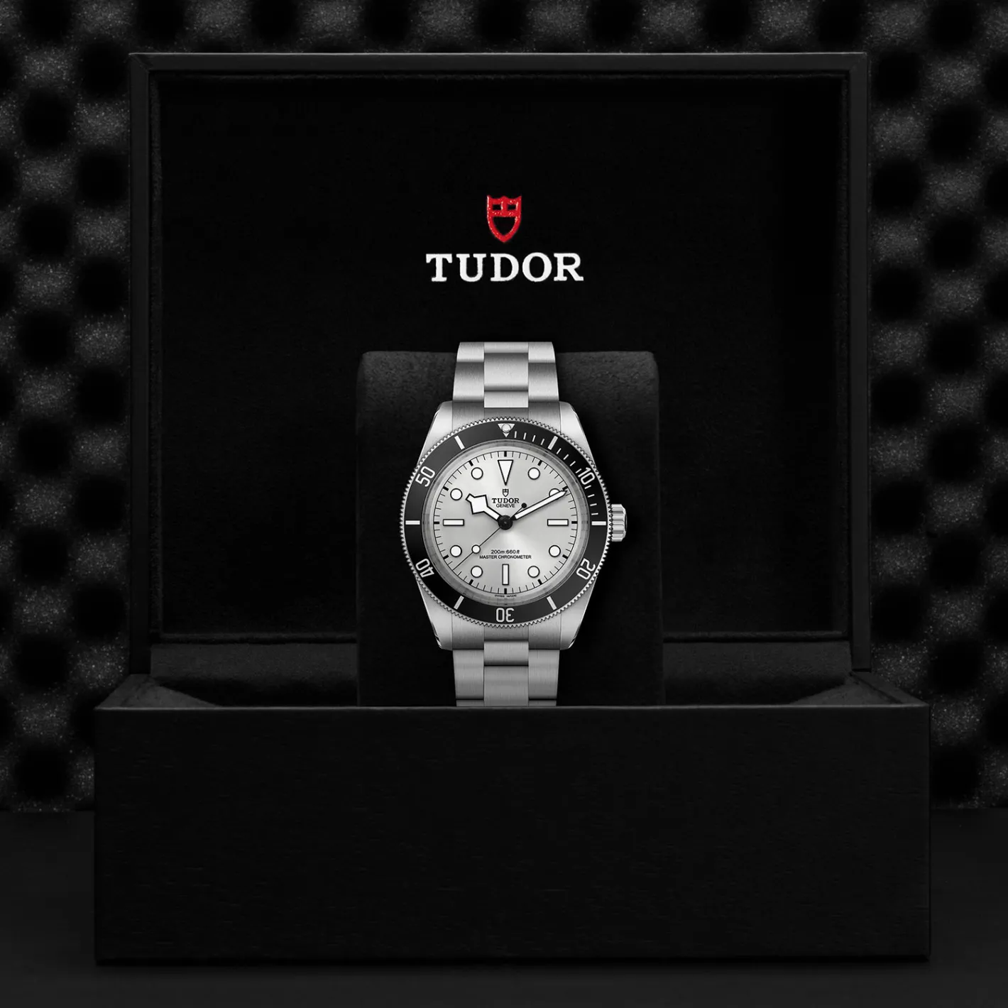 Tudor Black Bay 68 New