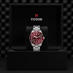 Tudor Black Bay 58 Sale