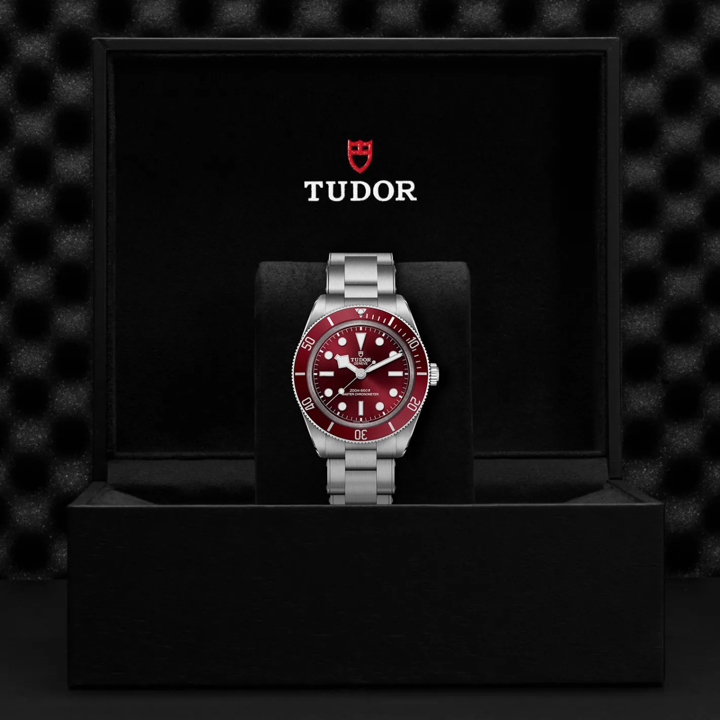 Tudor Black Bay 58 Sale
