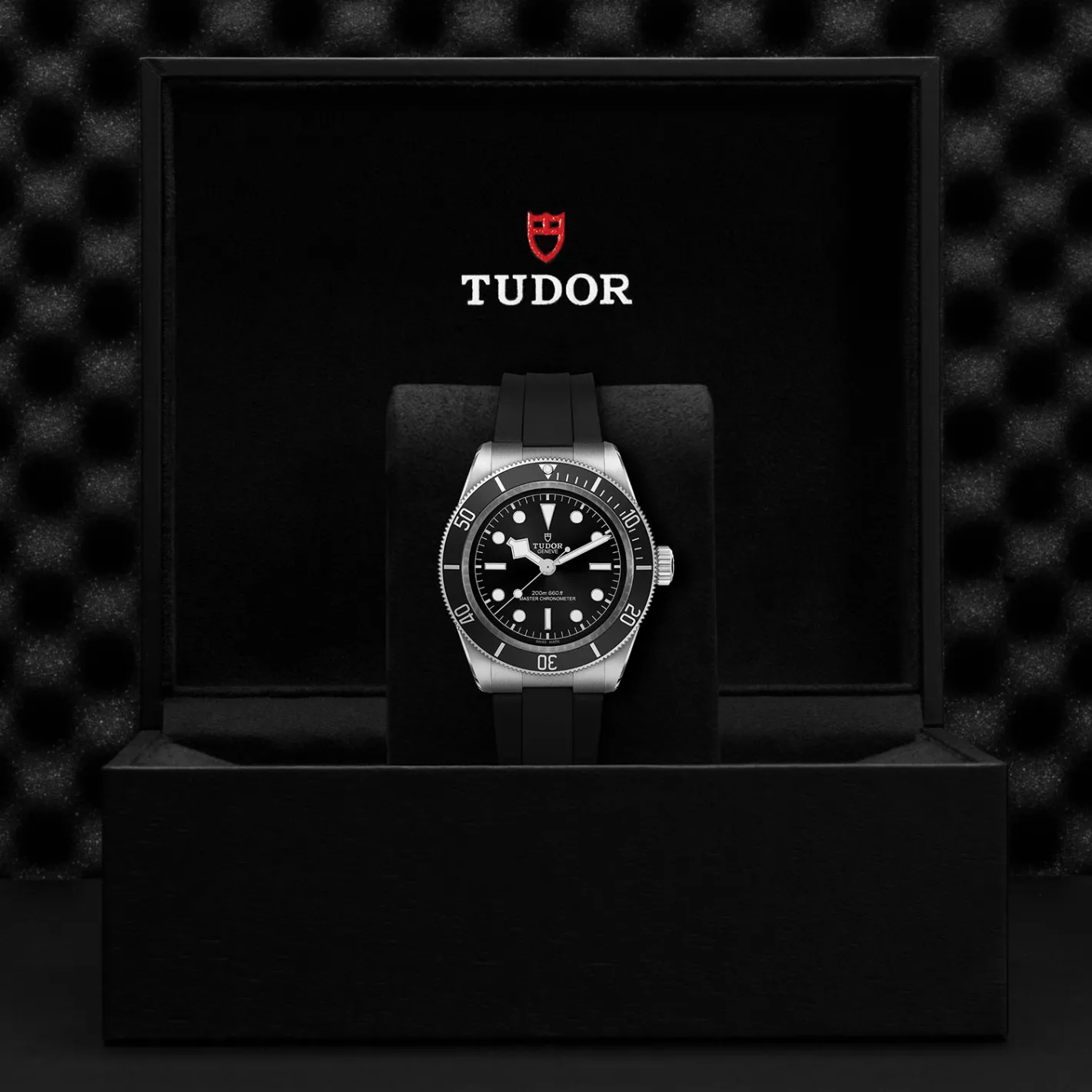 Tudor Black Bay Outlet