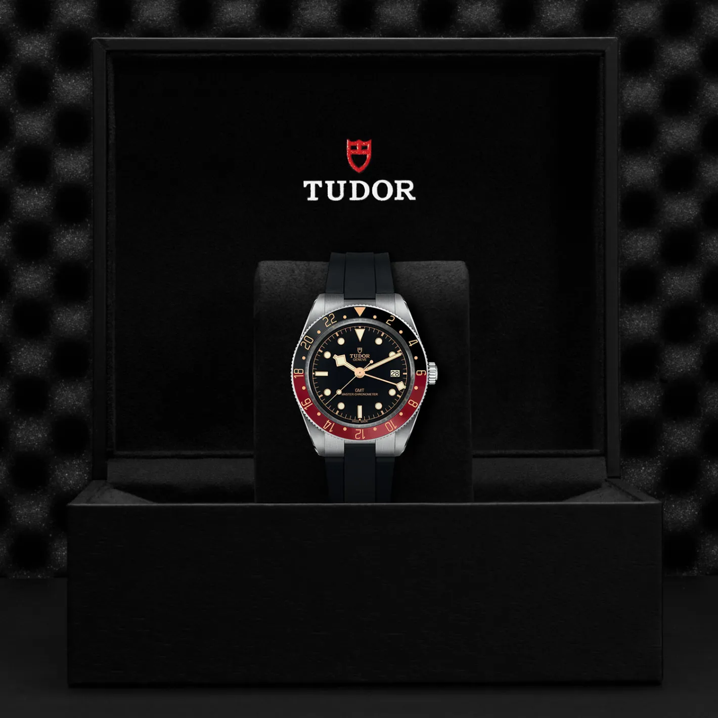 Tudor Black Bay 58 GMT Sale