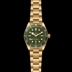 Tudor Black Bay 58 18K Best