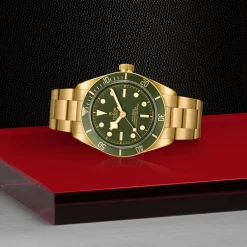Tudor Black Bay 58 18K Best