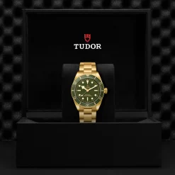 Tudor Black Bay 58 18K Best