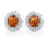 Perodri Pendientes de Oro Blanco Fashion