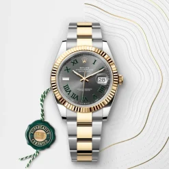 Rolex Datejust 41 Rolesor amarillo —combinación de acero Oystersteel y oro amarillo Discount