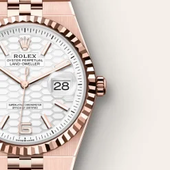 Rolex Land-Dweller 36 Oro Everose de 18 quilates Best