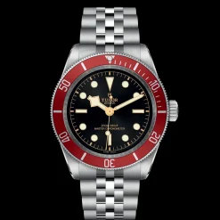 Tudor Black Bay Hot