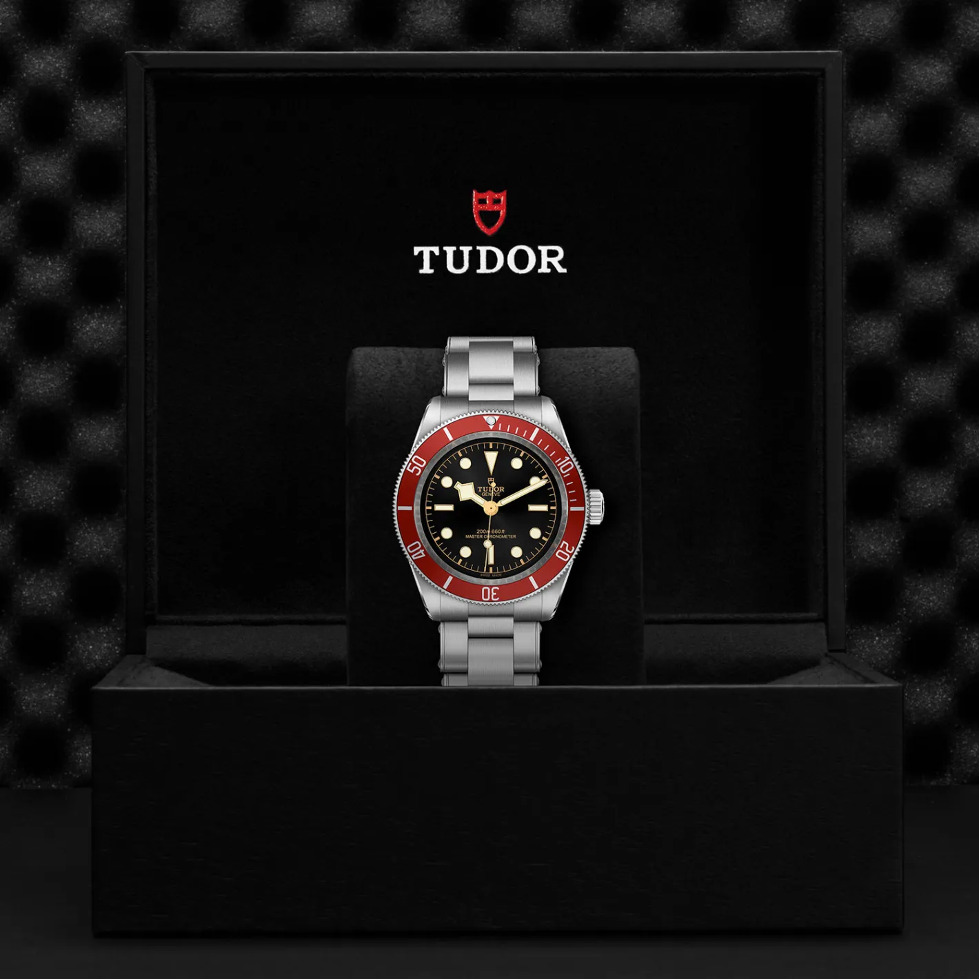 Tudor Black Bay Fashion