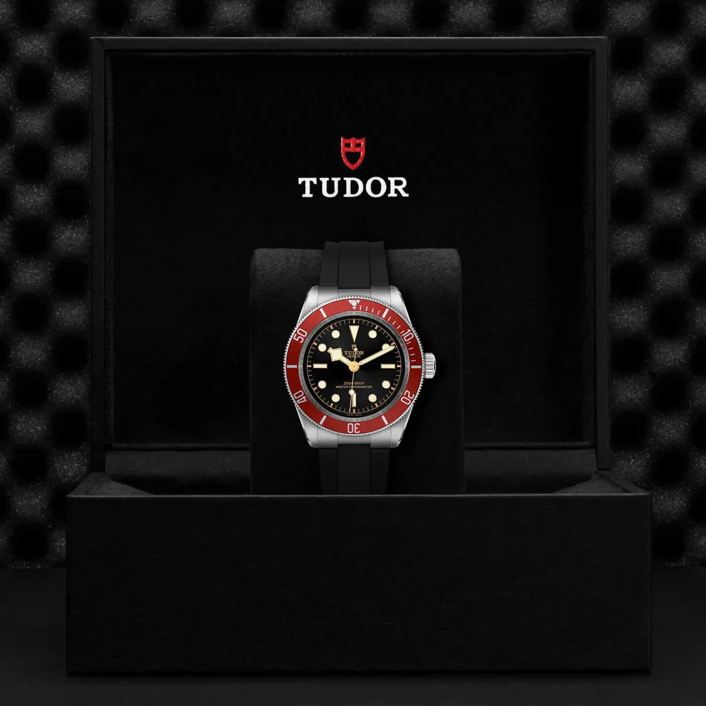 Tudor Black Bay Clearance