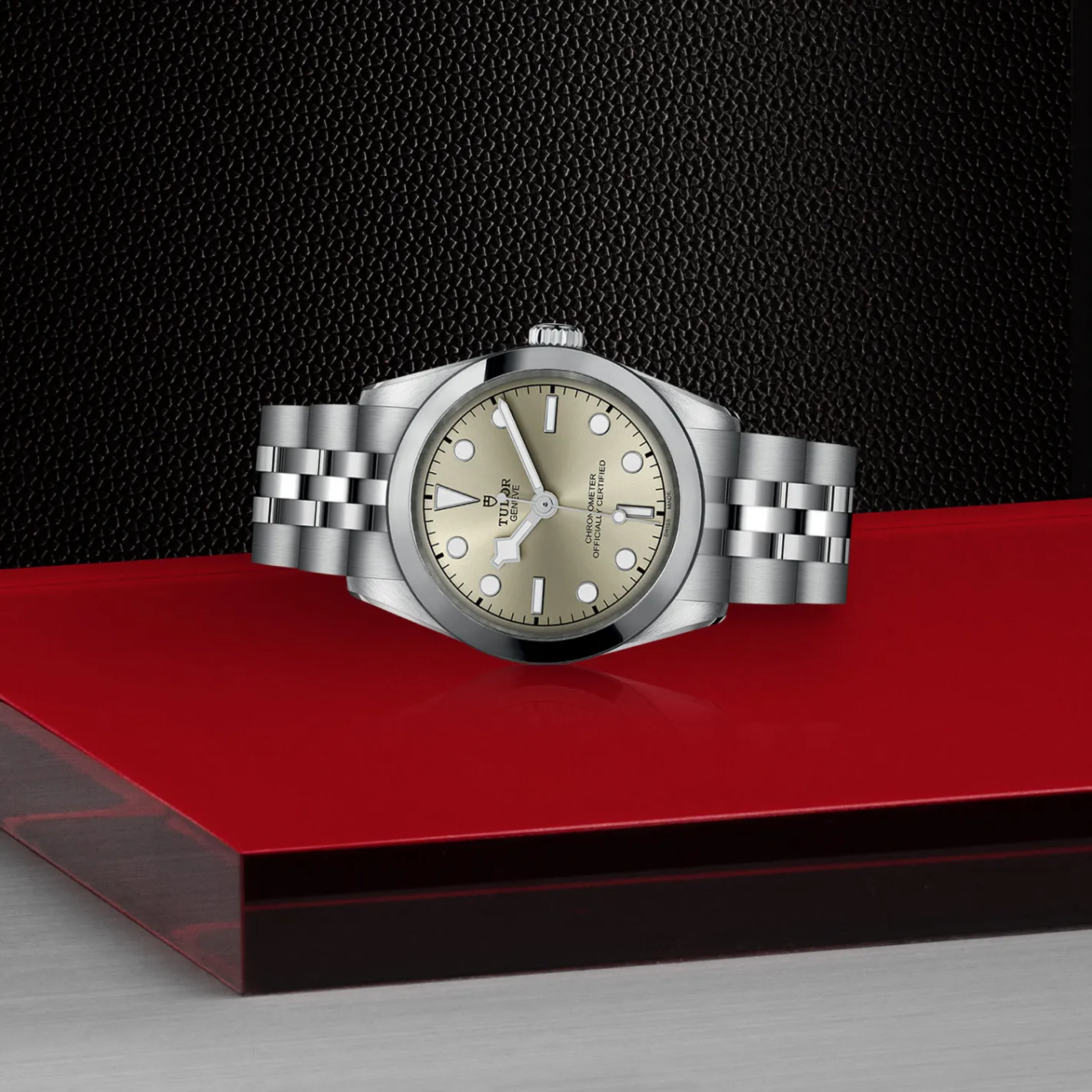 Tudor Black Bay 31 Best