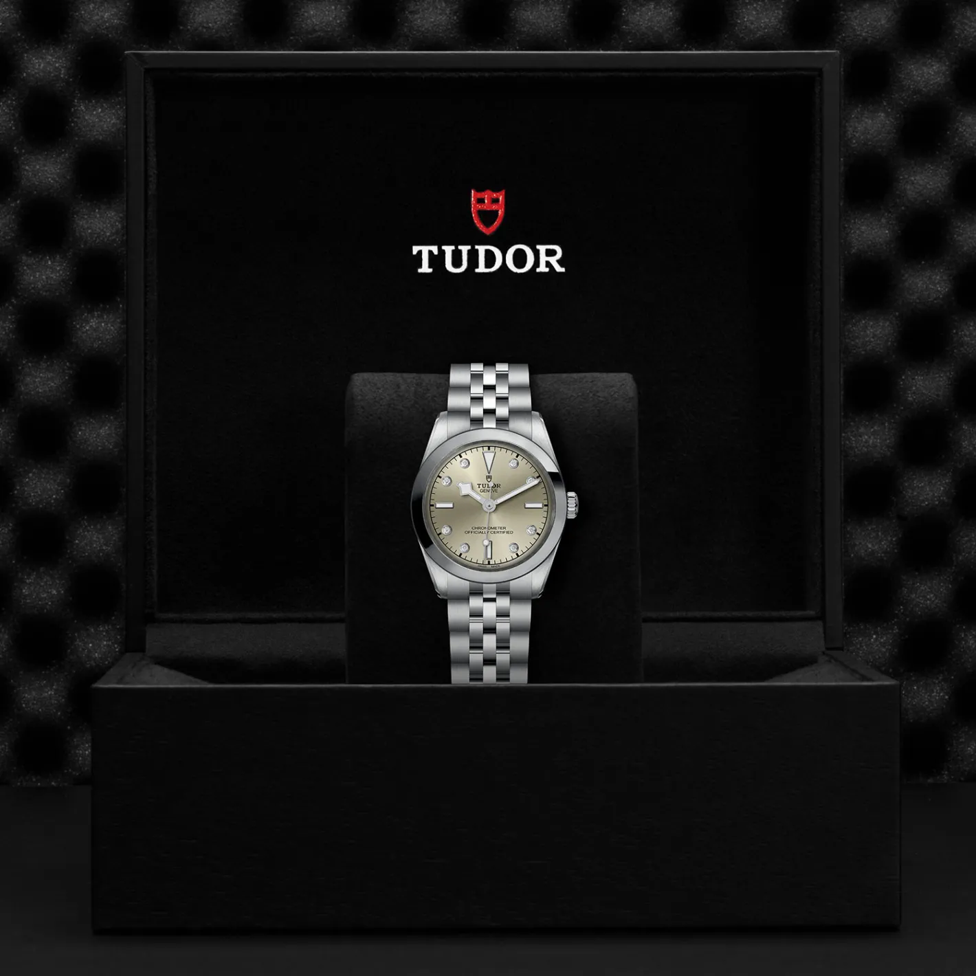 Tudor Black Bay 31 Clearance