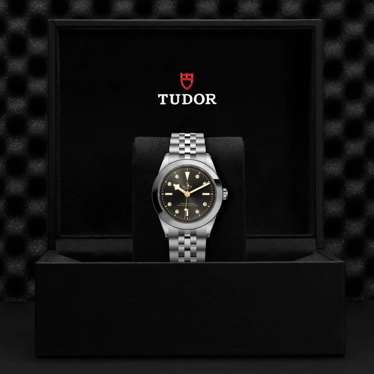 Tudor Black Bay 39 Sale