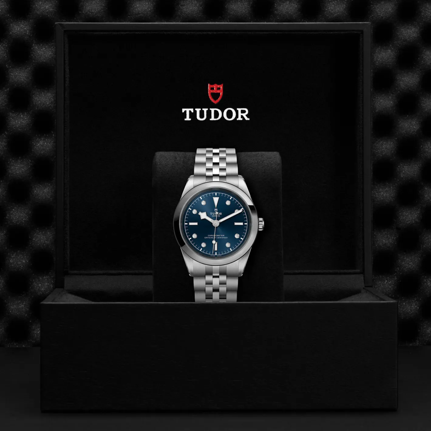 Tudor Black Bay 41 Hot