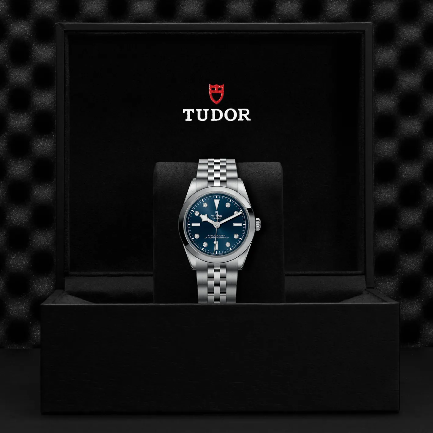 Tudor Black Bay 36 Clearance