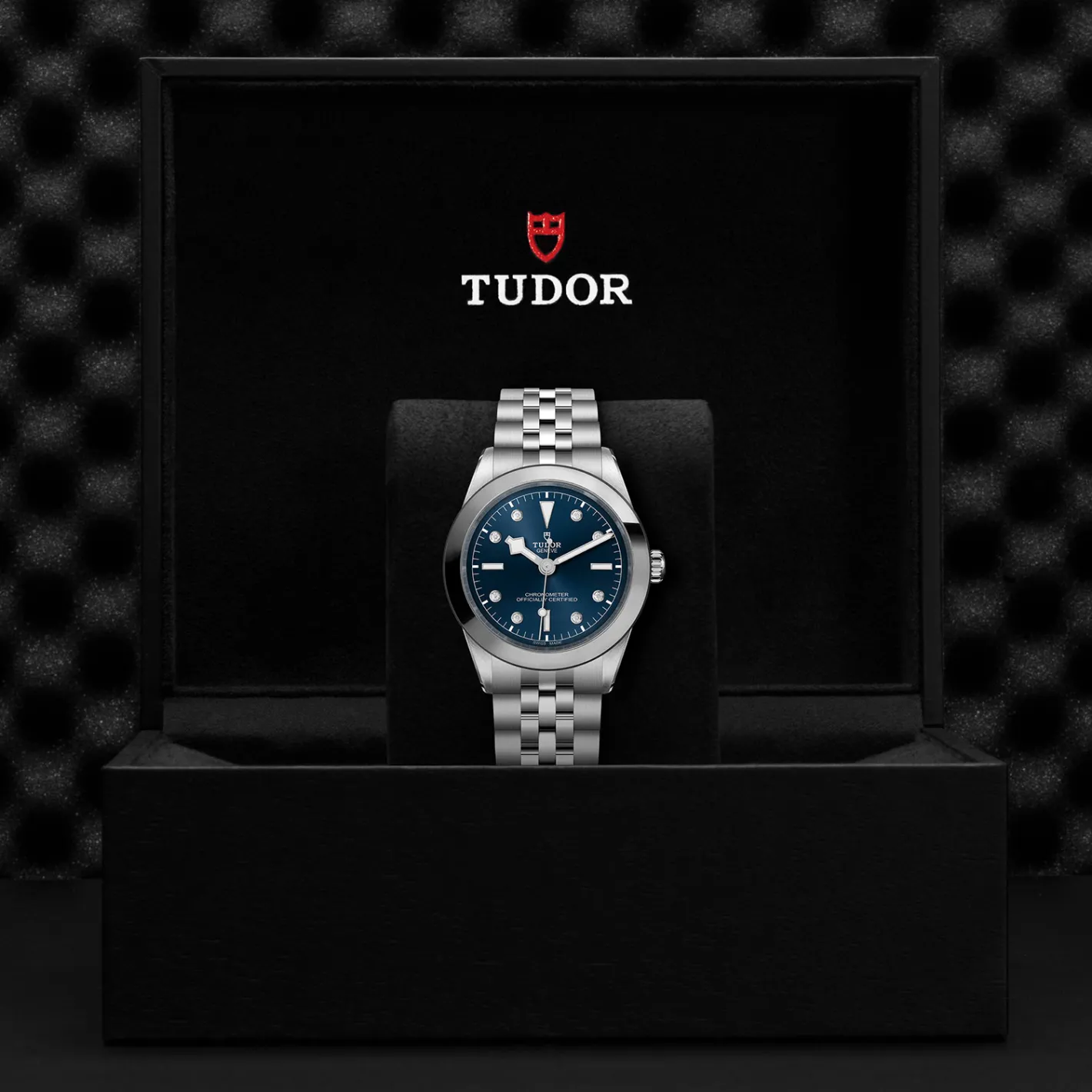 Tudor Black Bay 39 Sale
