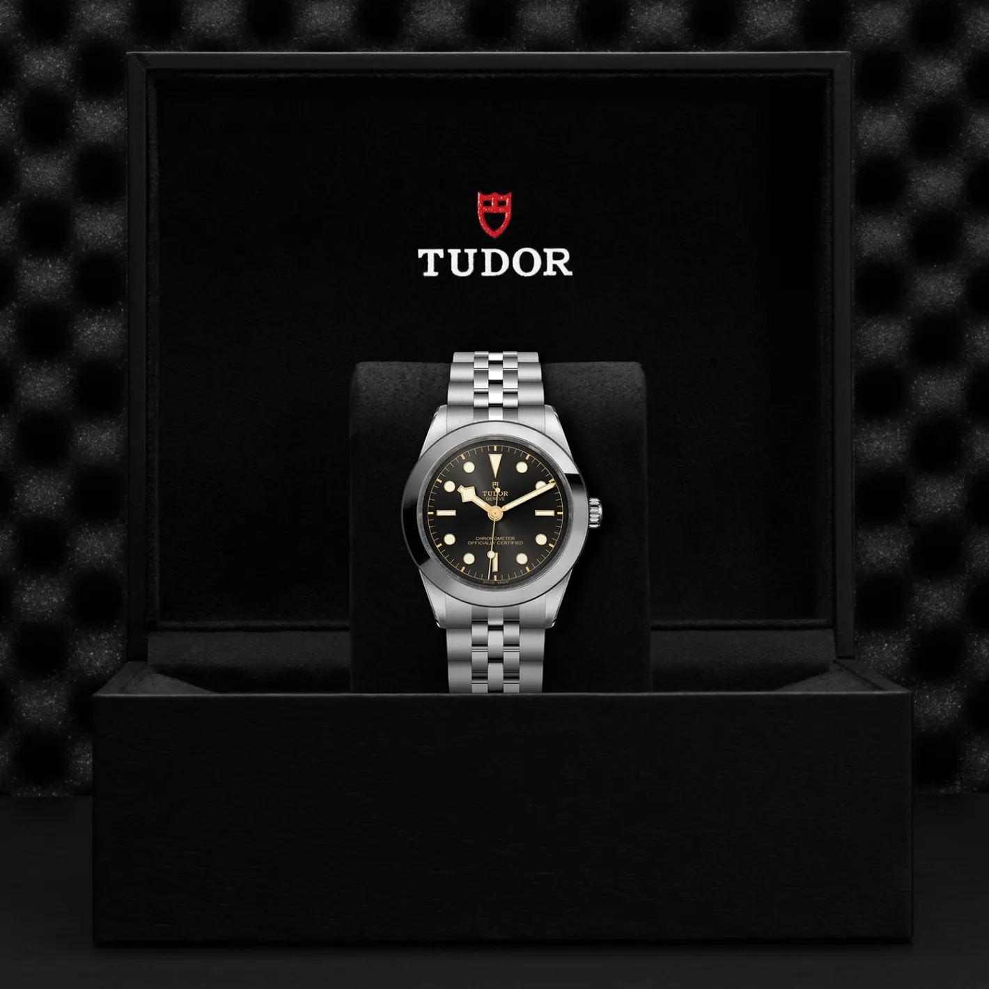 Tudor Black Bay 39 New