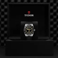 Tudor Black Bay 54 Outlet