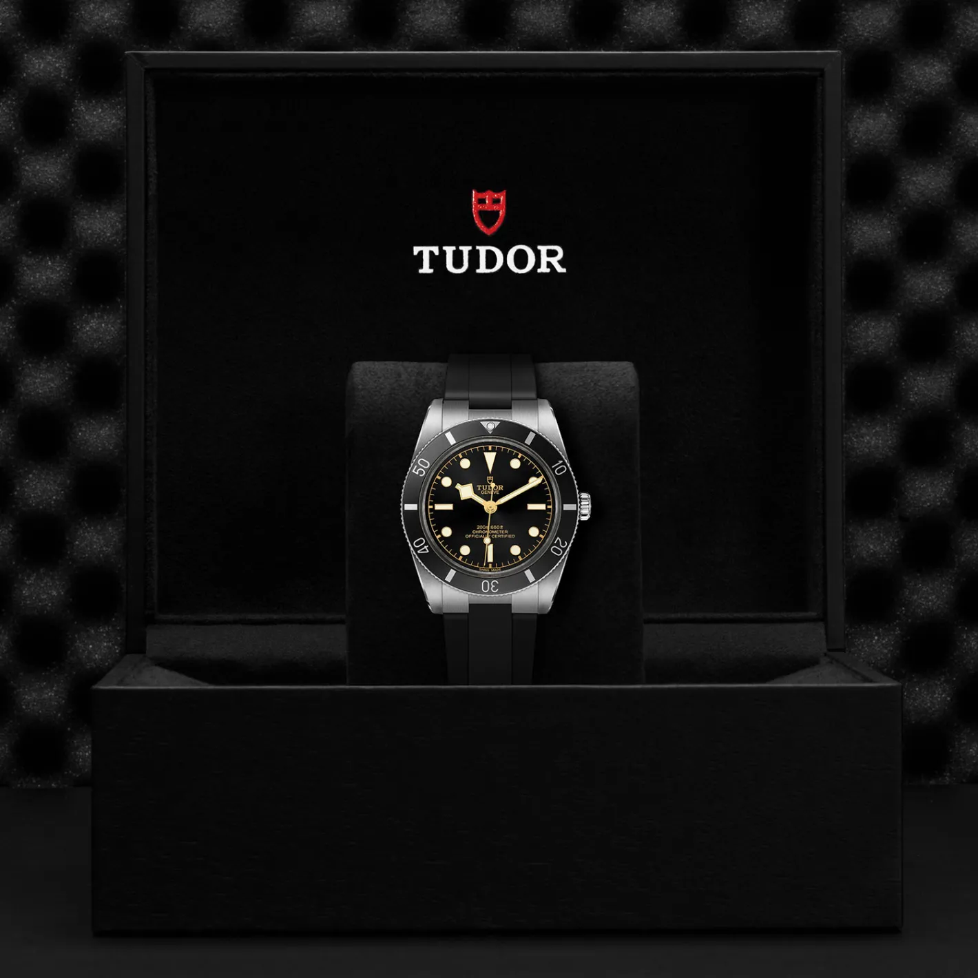Tudor Black Bay 54 Outlet