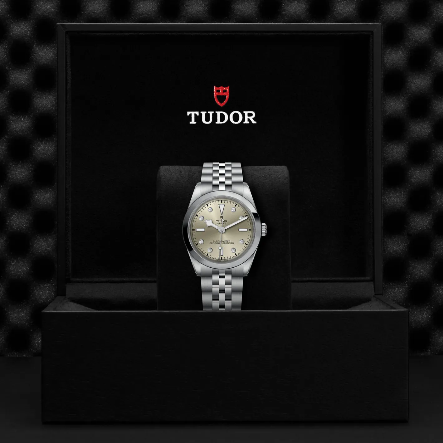 Tudor Black Bay 36 Fashion