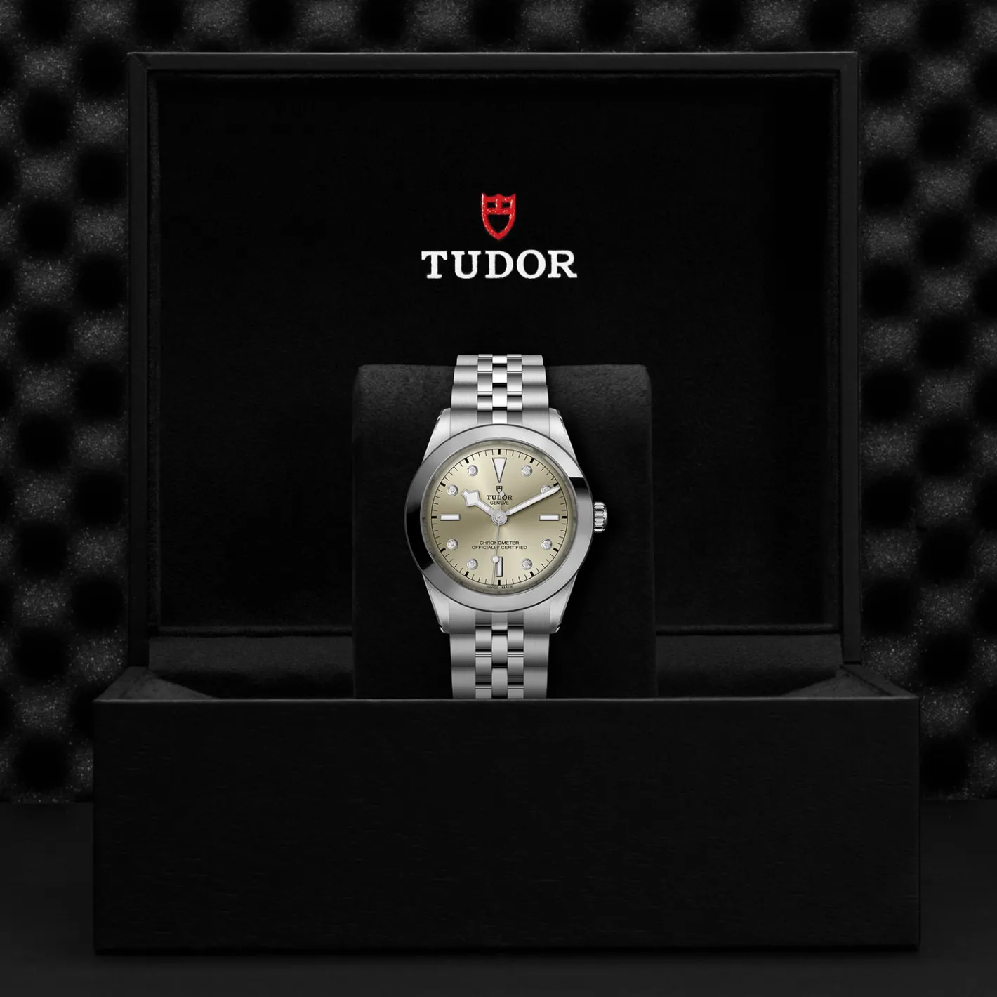 Tudor Black Bay 39 Fashion