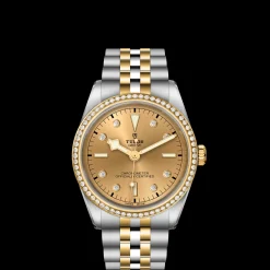 Tudor Black Bay 36 S&G Online