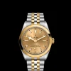 Tudor Black Bay 36 S&G Outlet