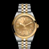 Tudor Black Bay 41 S&G New