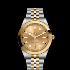Tudor Black Bay 39 S&G Online