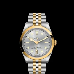 Tudor Black Bay 36 S&G Discount