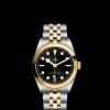 Tudor Black Bay 31 S&G Hot