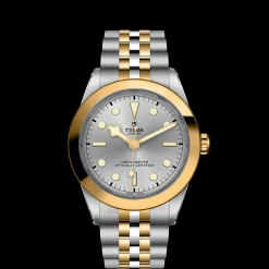 Tudor Black Bay 39 S&G Hot