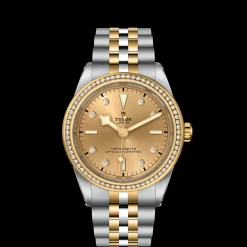 Tudor Black Bay 39 S&G Outlet