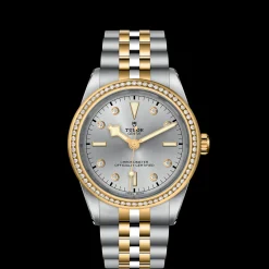 Tudor Black Bay 39 S&G Sale