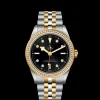 Tudor Black Bay 39 S&G New