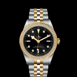 Tudor Black Bay 39 S&G New
