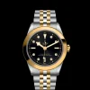 Tudor Black Bay 39 S&G Online