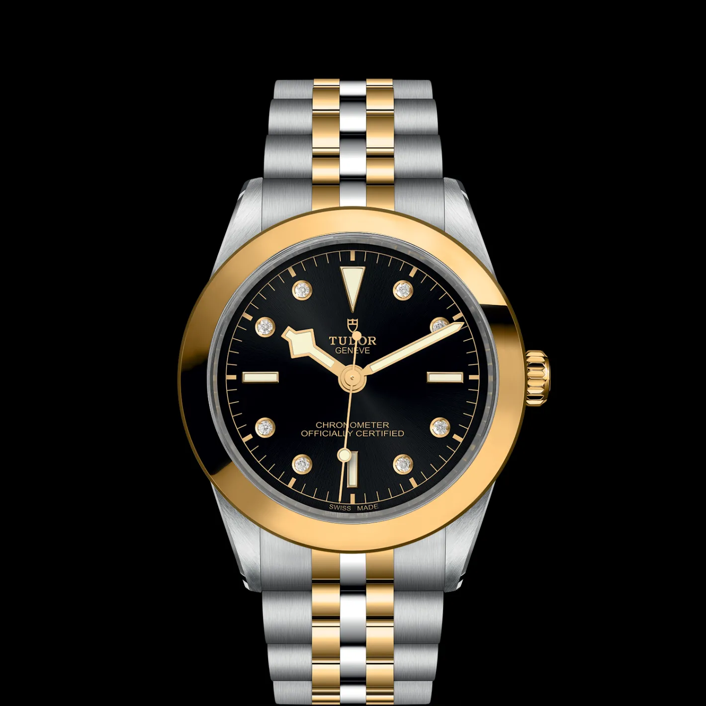 Tudor Black Bay 39 S&G Online