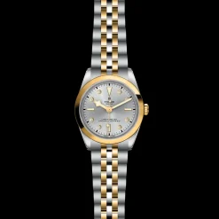 Tudor Black Bay 36 S&G Online