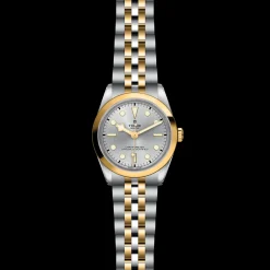 Tudor Black Bay 36 S&G Discount