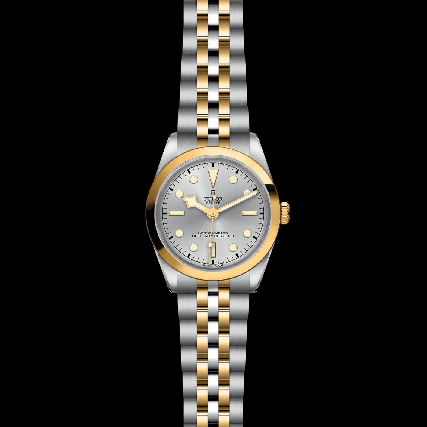 Tudor Black Bay 36 S&G Discount