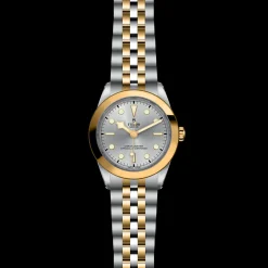 Tudor Black Bay 39 S&G Hot