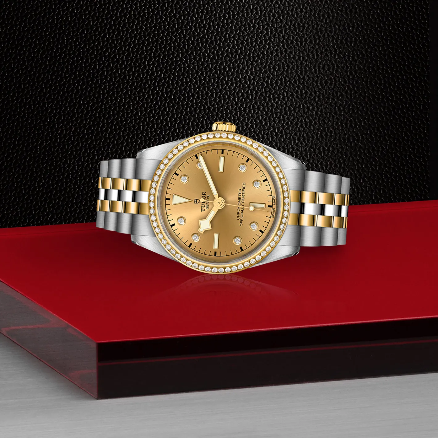 Tudor Black Bay 36 S&G Online