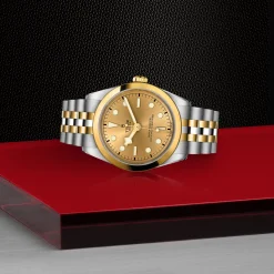 Tudor Black Bay 36 S&G Outlet