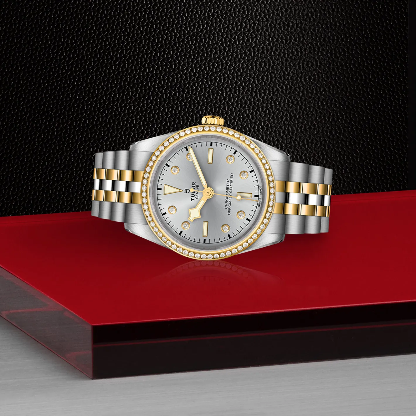 Tudor Black Bay 36 S&G Online