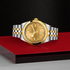 Tudor Black Bay 41 S&G New
