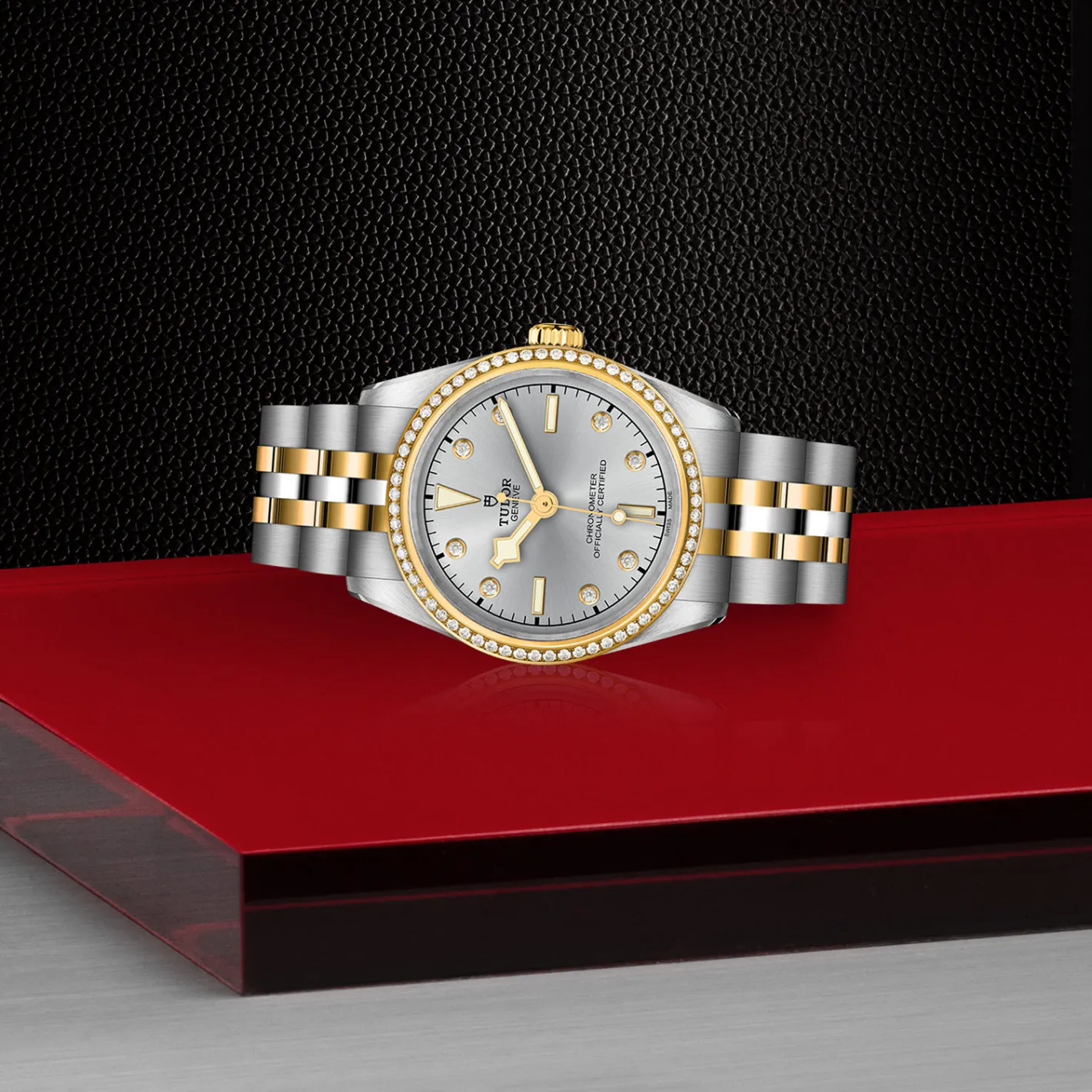 Tudor Black Bay 31 S&G Discount