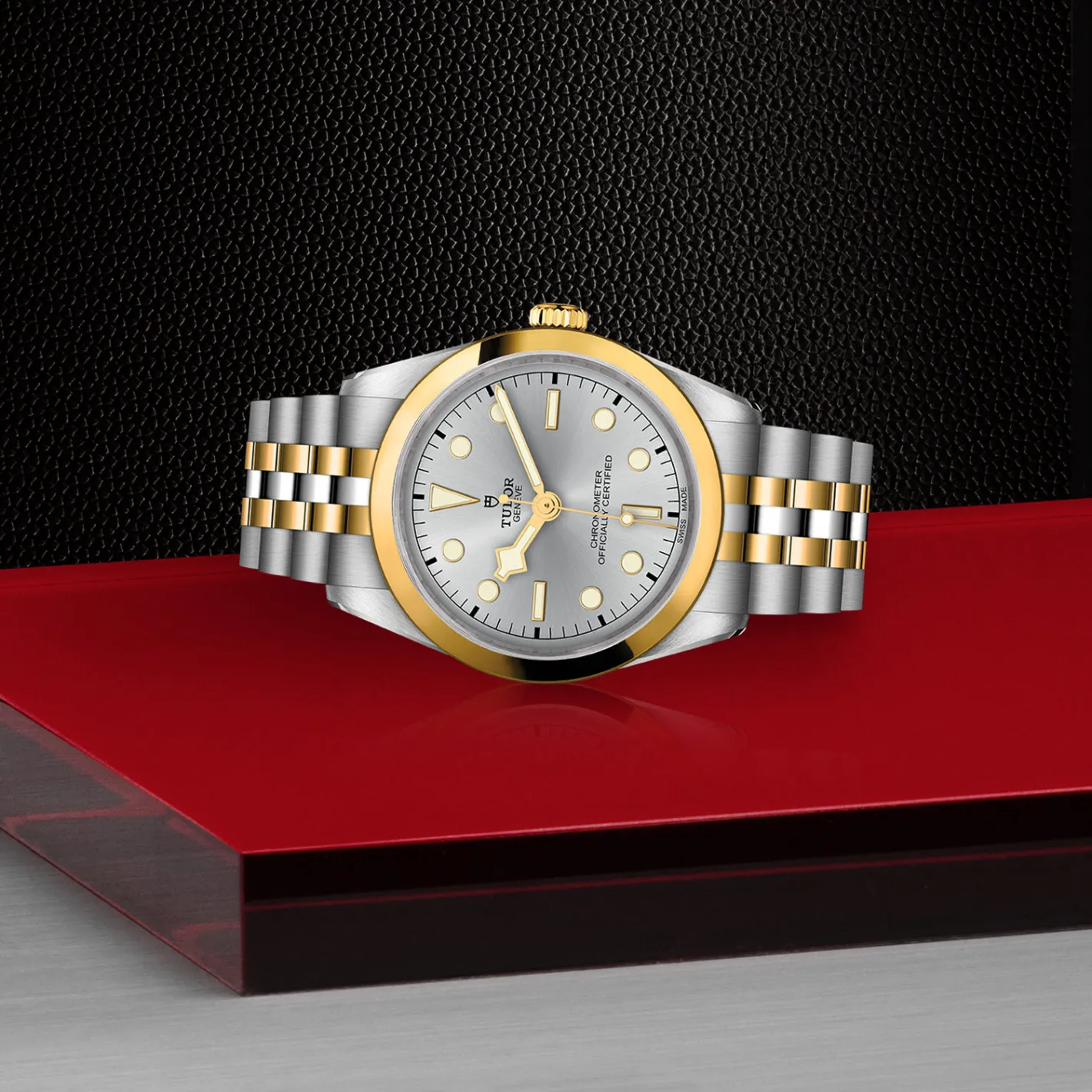 Tudor Black Bay 36 S&G Discount