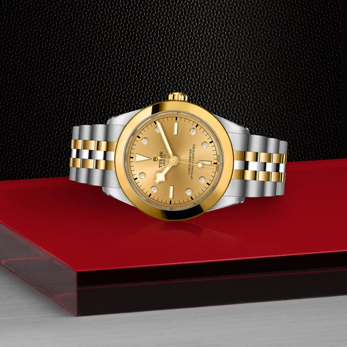 Tudor Black Bay 39 S&G Fashion