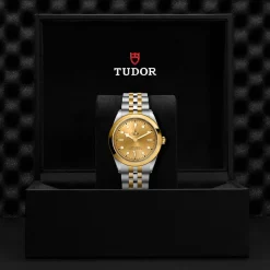 Tudor Black Bay 41 S&G Hot